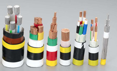 塑料绝缘控制（屏蔽）电缆